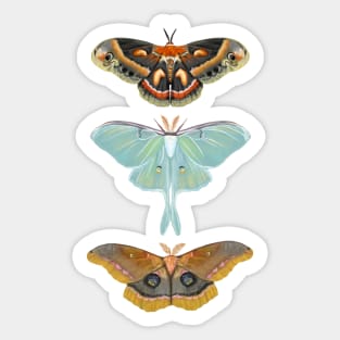 3 Moths Sticker